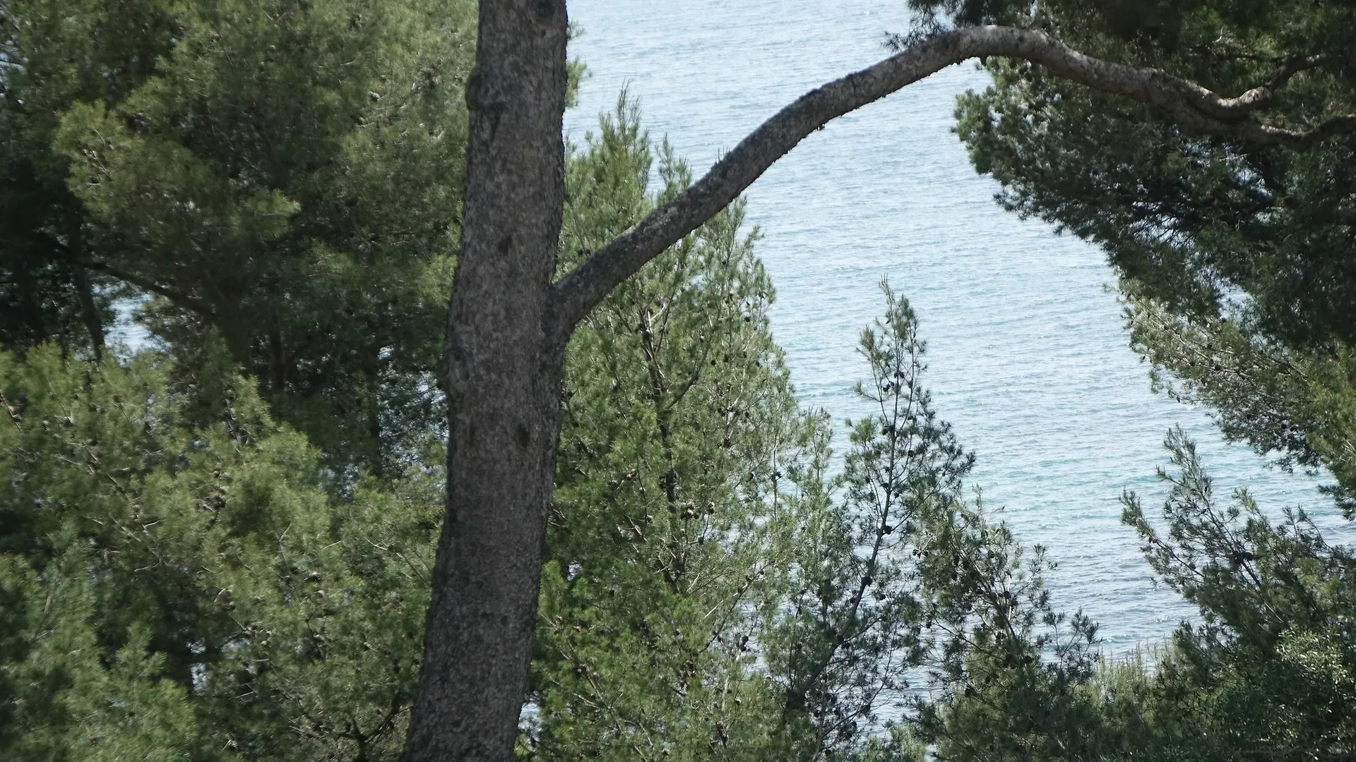 Fashionable House Flat With Garden Villa Hyeres